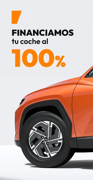 Publicidad financiación 100%